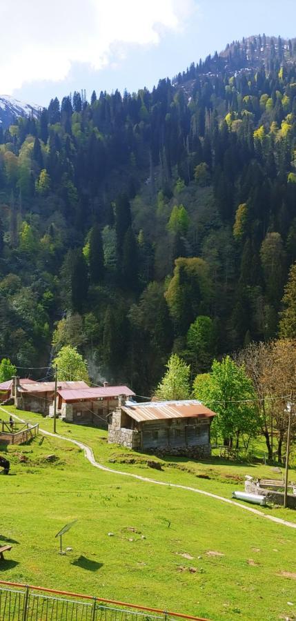 Ayder Vesile Otel Extérieur photo